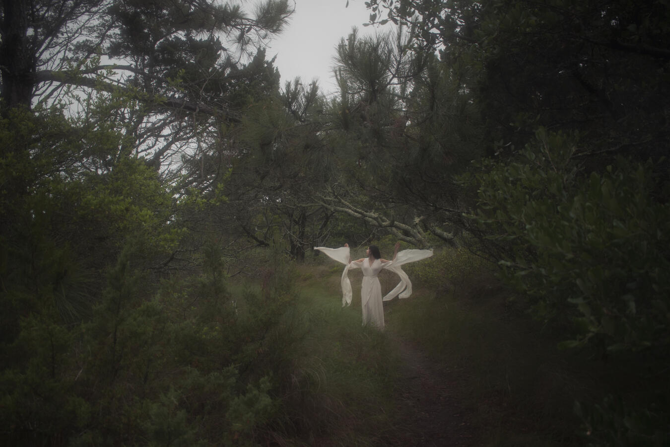 Untitled Untitled